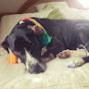 Meet your Posher, Nick